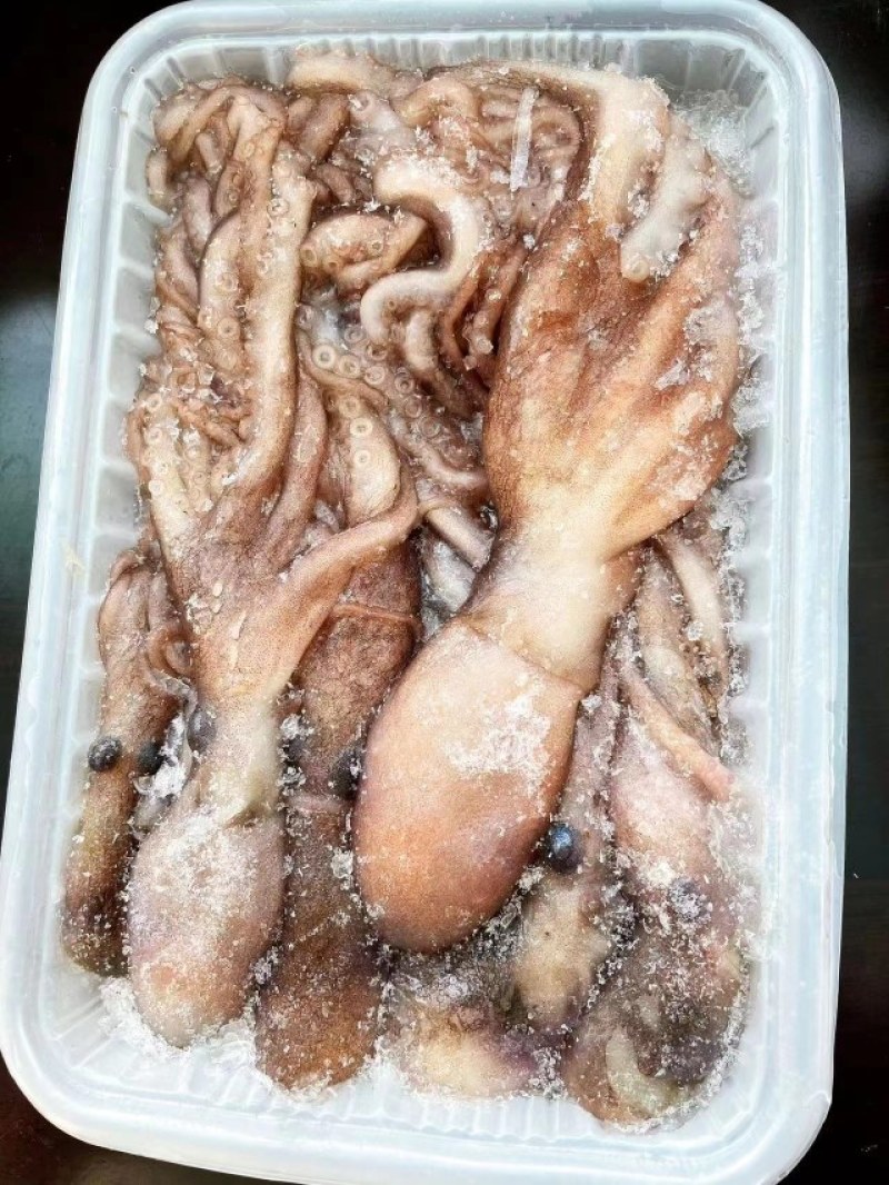 八爪鱼，小仓鱼