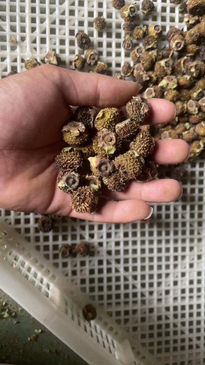 刺梨干果