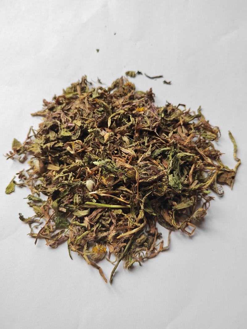 蒲公英公英段婆婆丁鲁舜泽中药材批发零售全国发货