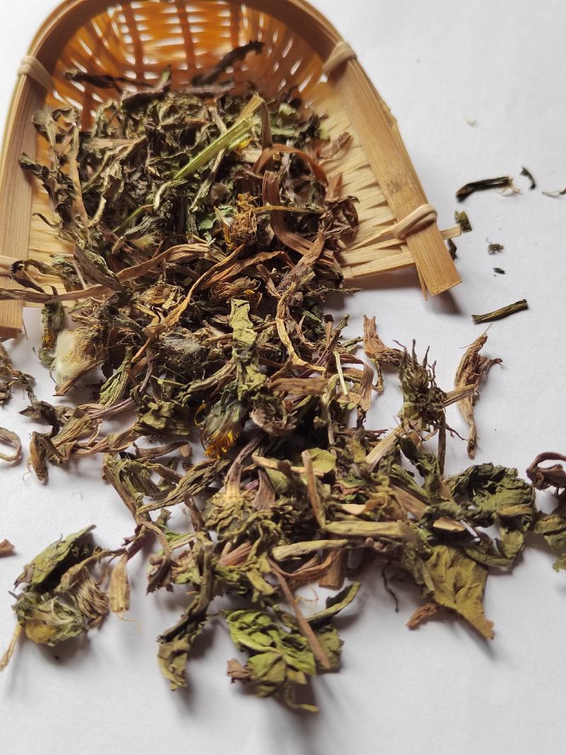 蒲公英公英段婆婆丁鲁舜泽中药材批发零售全国发货
