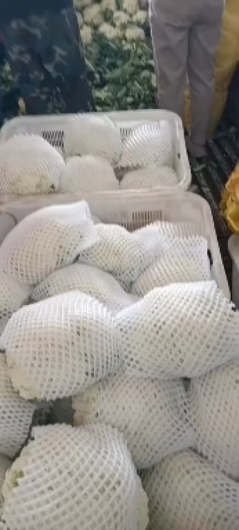 甘肃兰州精品冷库预冷货