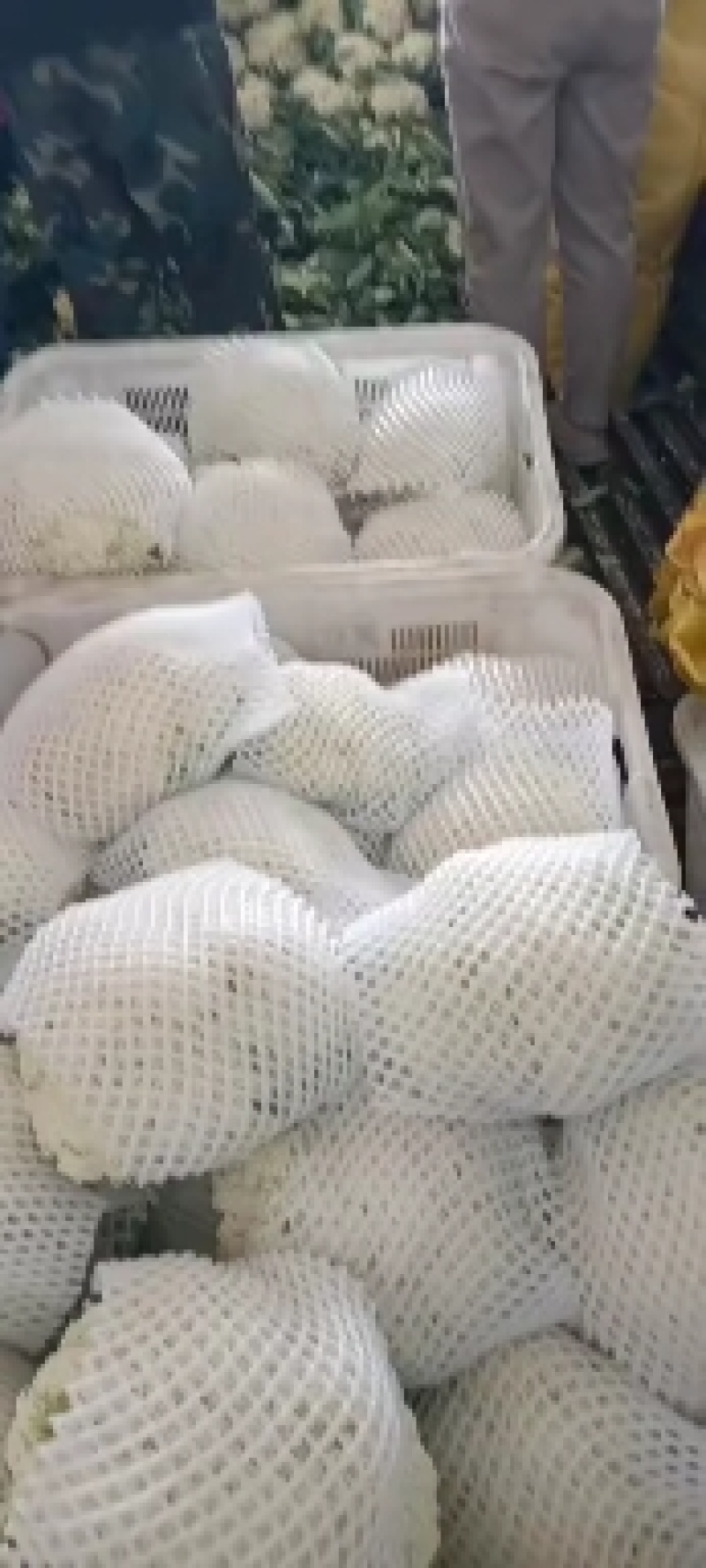 甘肃兰州精品冷库预冷货