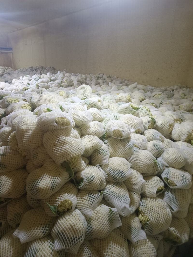 甘肃兰州精品冷库预冷货