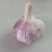 河南省杞县紫皮大蒜头产地直发农家种植
