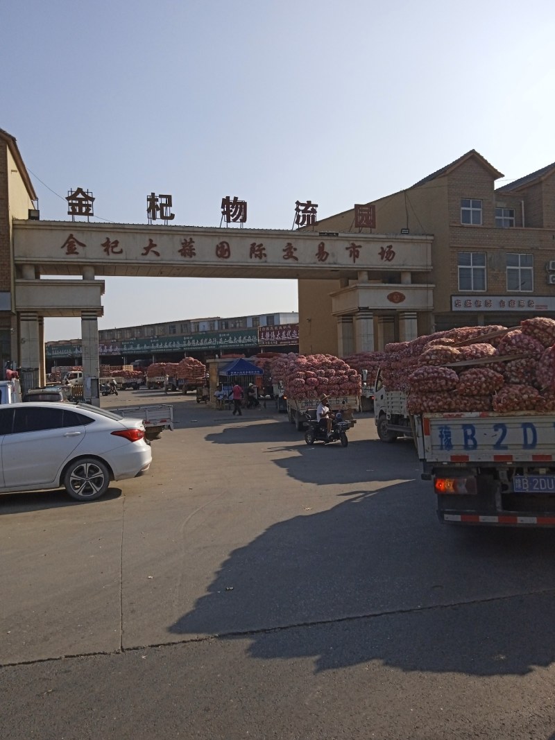 河南省杞县紫皮大蒜头产地直发农家种植