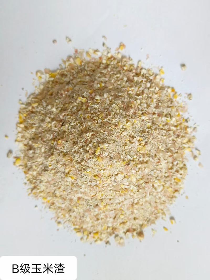 碎玉米粒质量保证厂家大量供货，量大从优，实地考察！