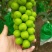 专做阳光玫瑰电商平台商超市场加工企业用果，也可代发全国各