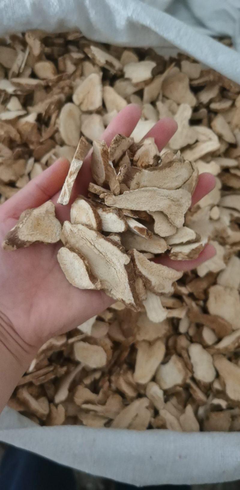 白术统装500g产地河北振兴药材购销站量大从优