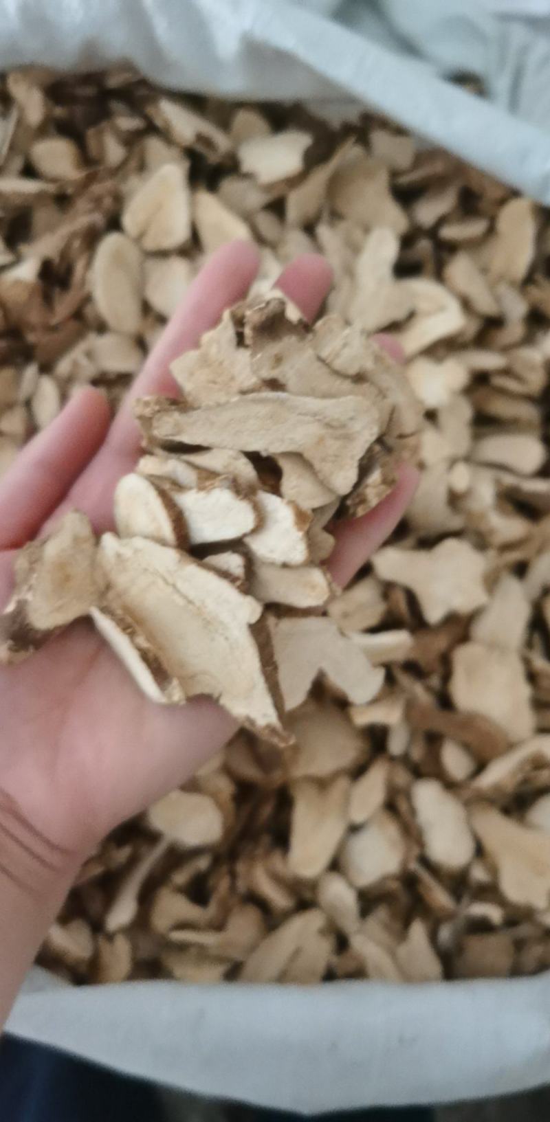 白术统装500g产地河北振兴药材购销站量大从优