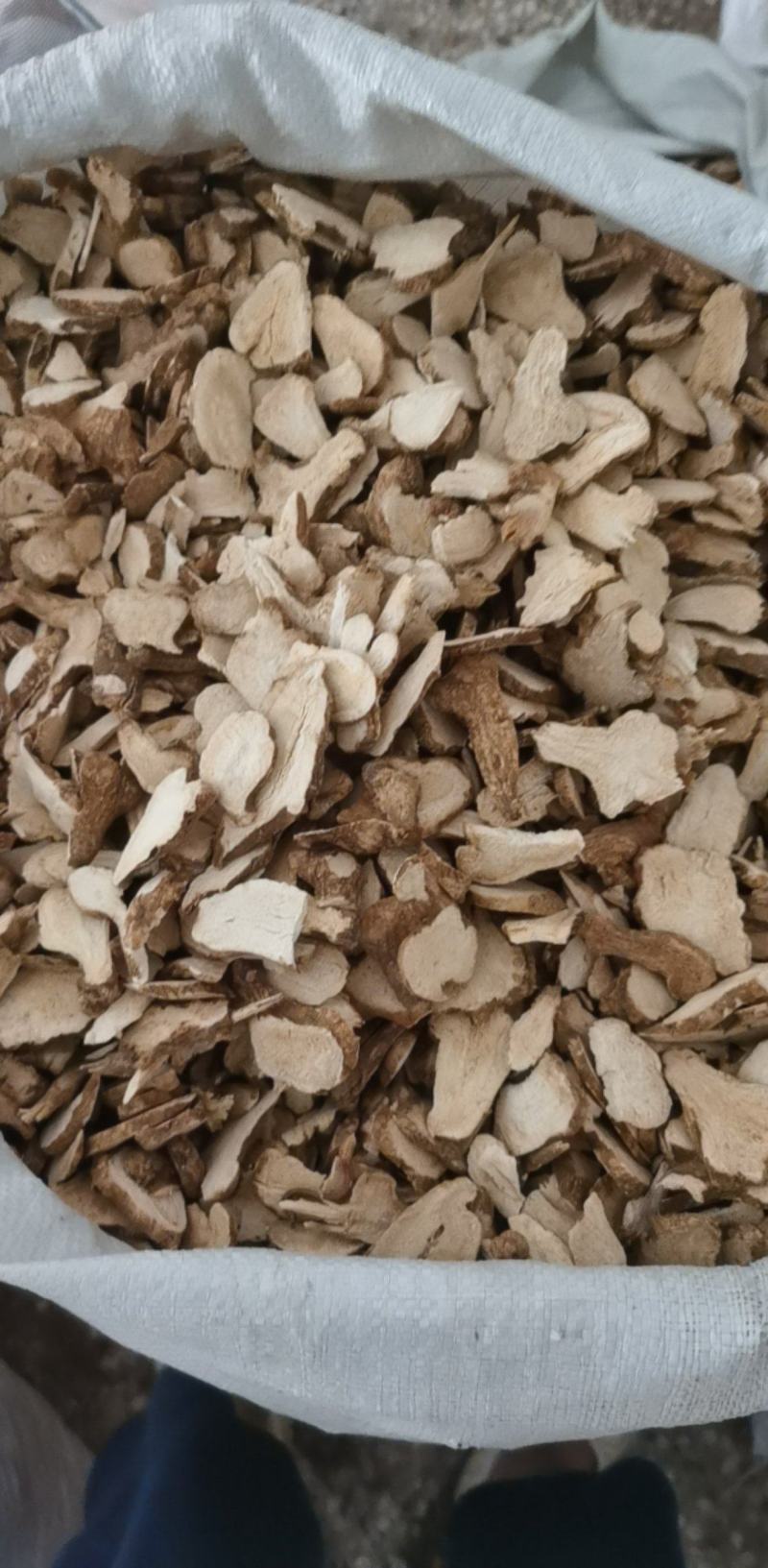 白术统装500g产地河北振兴药材购销站量大从优