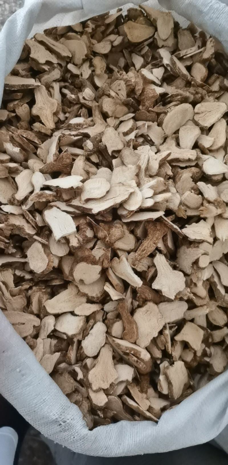 白术统装500g产地河北振兴药材购销站量大从优