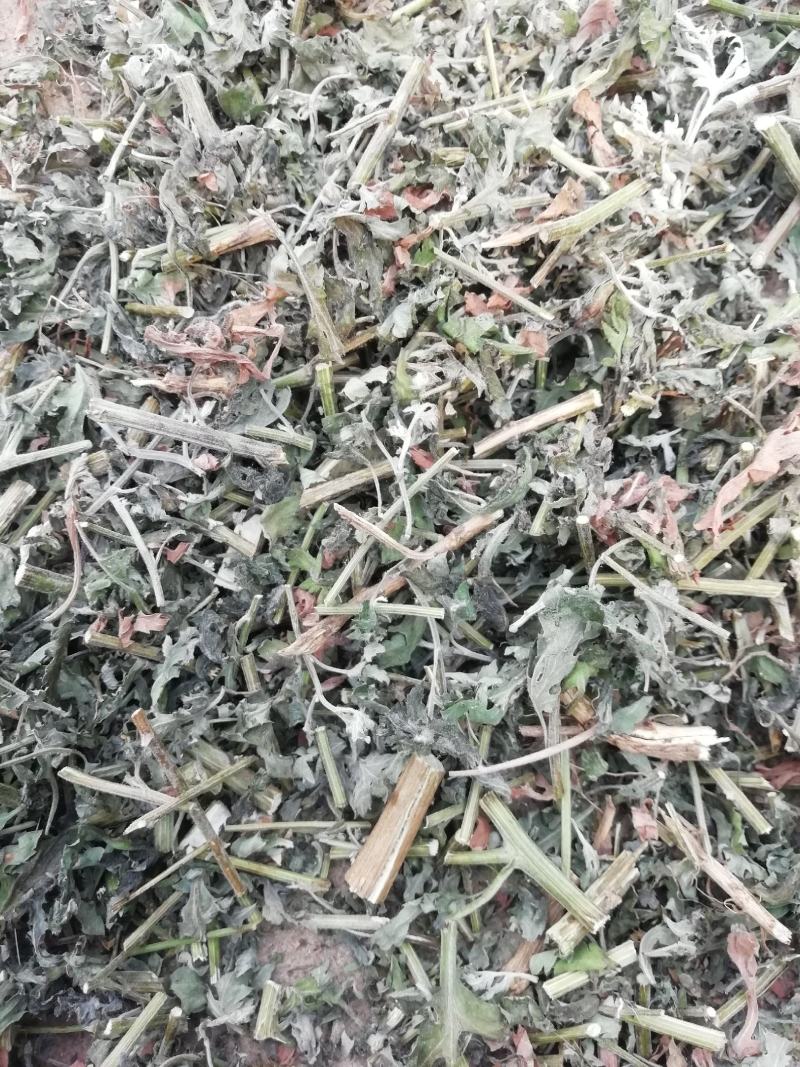 菊花杆子