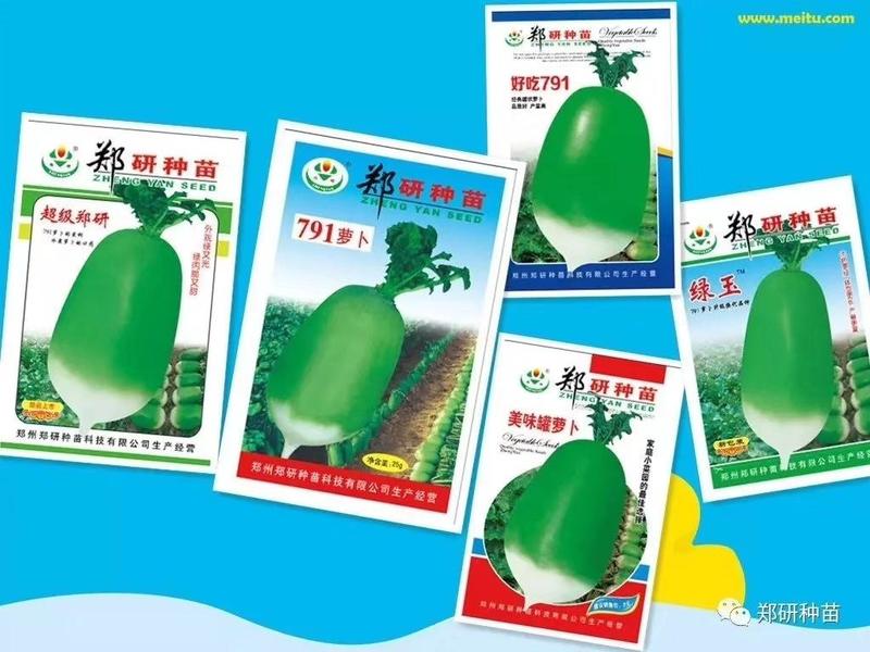 【精】郑研绿玉萝卜种子，美味萝卜种子500g，品质保证