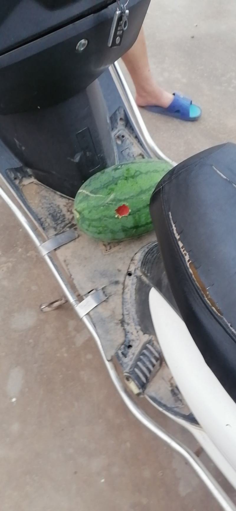 西瓜
