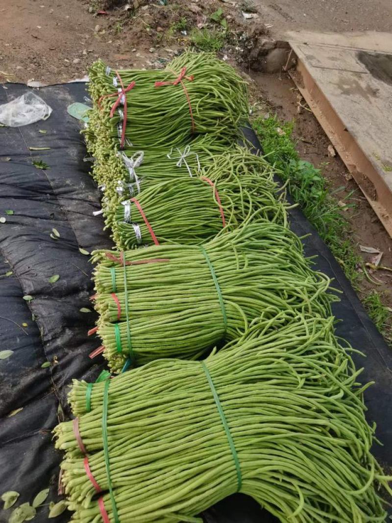长豆角