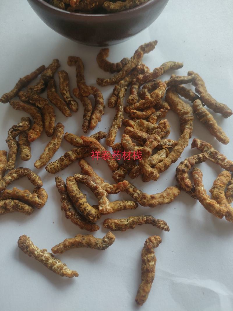 （热销）炒僵蚕麸炒僵蚕僵蚕产地大祥泰药材栈地道药材