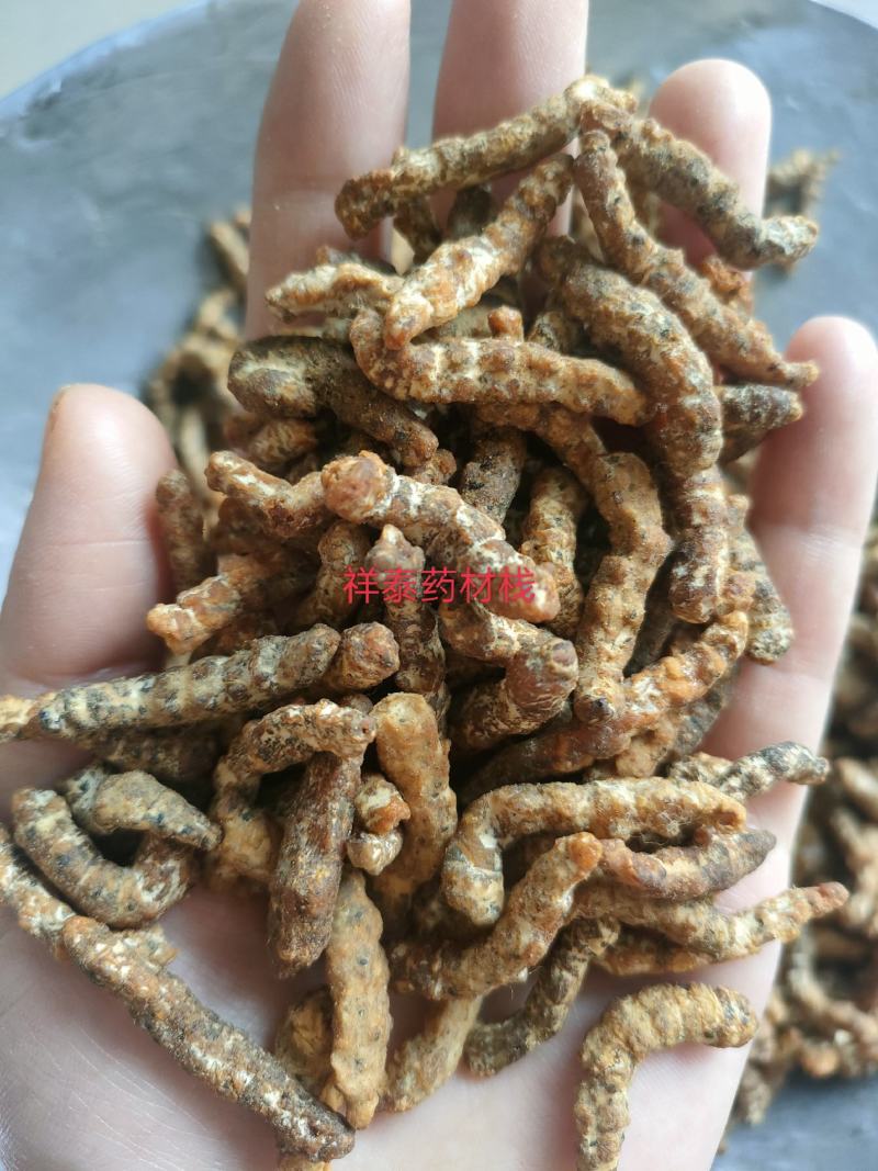 （热销）炒僵蚕麸炒僵蚕僵蚕产地大祥泰药材栈地道药材