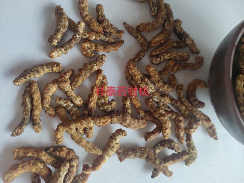 （热销）炒僵蚕麸炒僵蚕僵蚕产地大祥泰药材栈地道药材