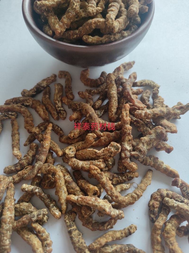 （热销）炒僵蚕麸炒僵蚕僵蚕产地大祥泰药材栈地道药材