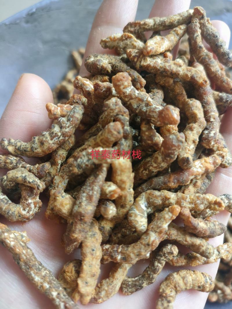 （热销）炒僵蚕麸炒僵蚕僵蚕产地大祥泰药材栈地道药材