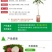 无核荔枝苗嫁接妃子笑荔枝树苗嫁接桂味荔枝苗带土带叶