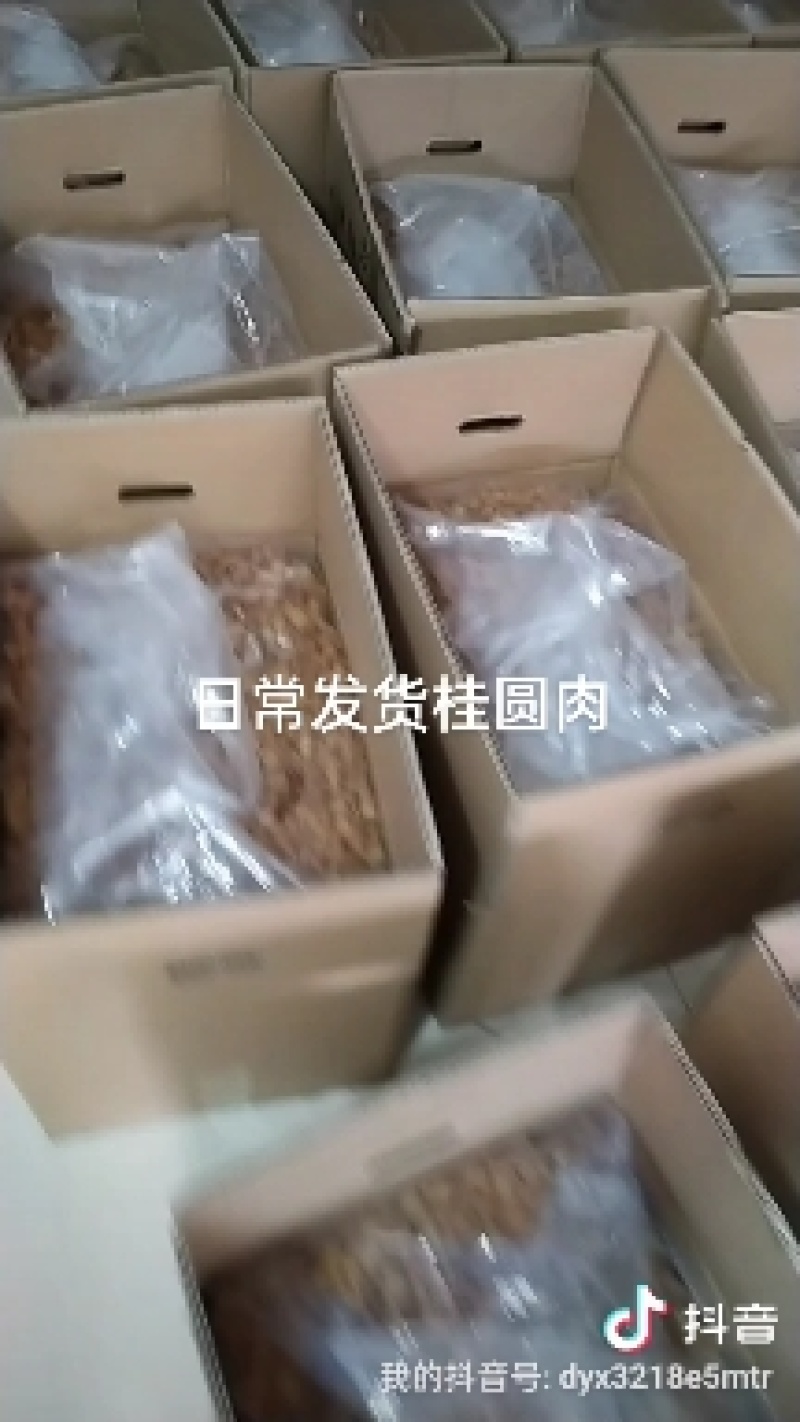 一級石峽桂圓肉