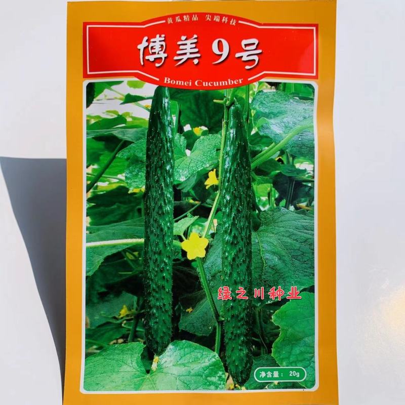原装德瑞特博美9号黄瓜种子抗病耐热绿肉深绿油亮密刺黄瓜