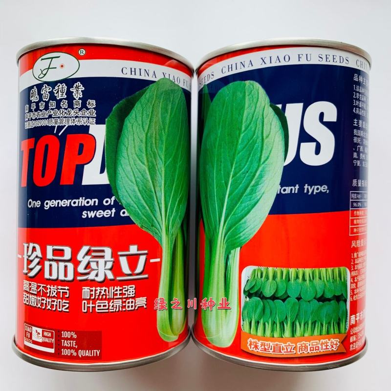 高温不拔节叶色绿油亮青梗菜种子珍品绿立青梗菜耐热耐雨
