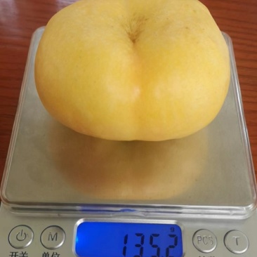 六扛六油潘桃果面光润