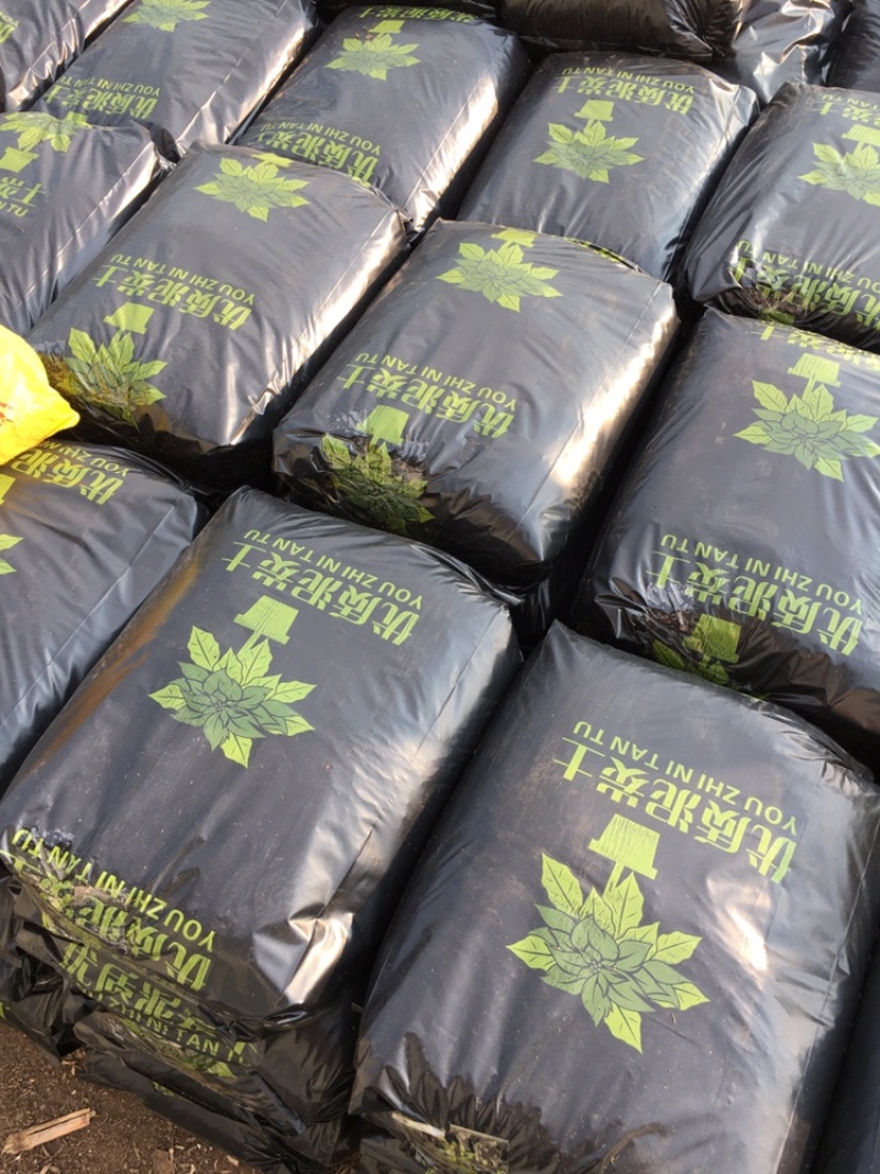 批发园林绿化工程泥炭土厂家花卉绿植