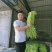 【推荐】豆角，山东兰陵长豆角！豇豆新鲜现摘！万亩基地