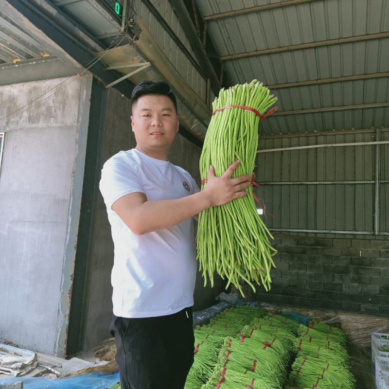 【推荐】豆角，山东兰陵长豆角！豇豆新鲜现摘！万亩基地