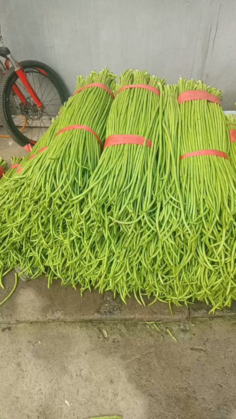 【推荐】豆角，山东兰陵长豆角！豇豆新鲜现摘！万亩基地