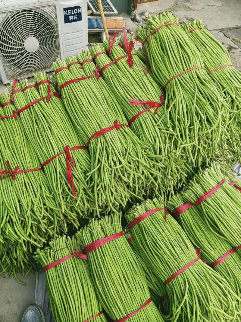 【推荐】豆角，山东兰陵长豆角！豇豆新鲜现摘！万亩基地