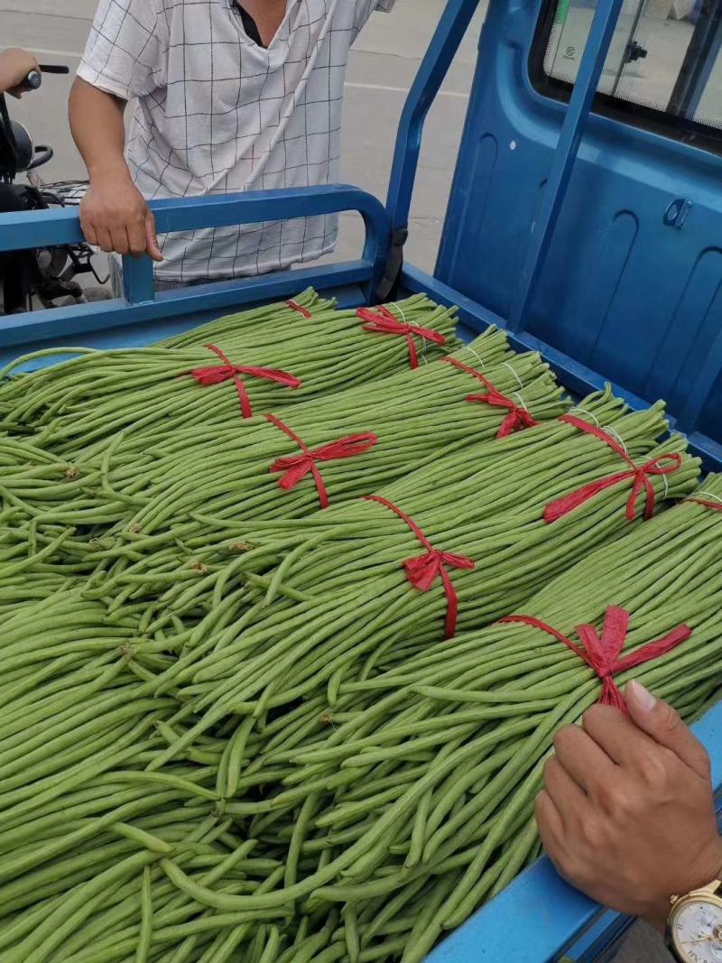 【推荐】豆角，山东兰陵长豆角！豇豆新鲜现摘！万亩基地