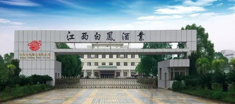 泰和白凤乌鸡酒滋补酒送家人朋友都是上层礼物老人爱喝