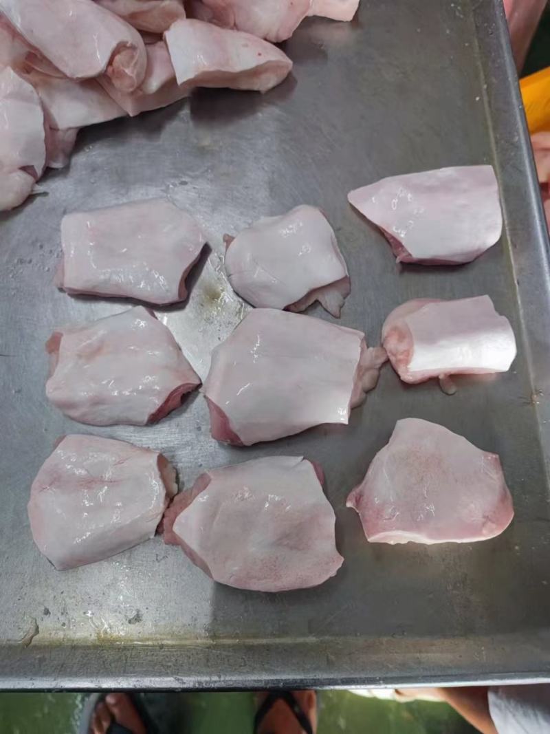 鱼腩、巴沙鱼鱼腩、鱼腩现货全规格高品质货源稳定