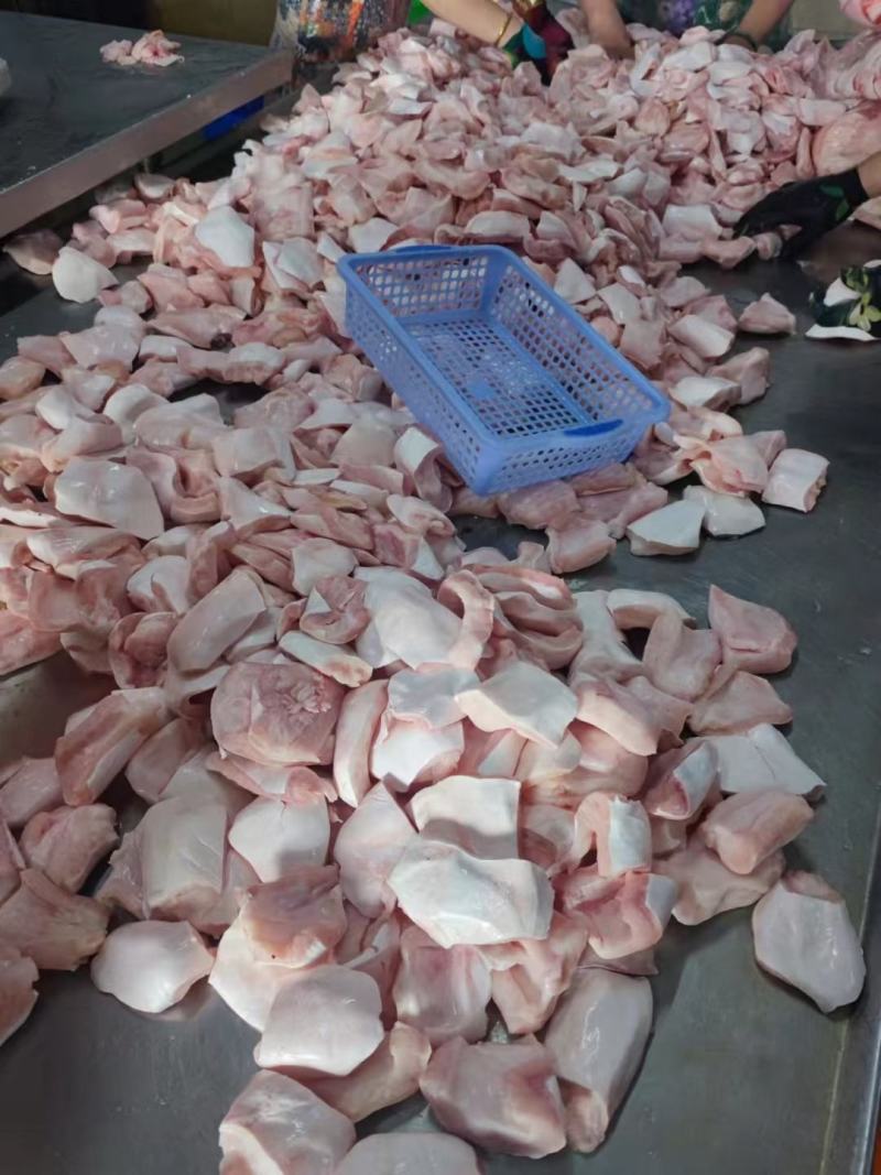 鱼腩、巴沙鱼鱼腩、鱼腩现货全规格高品质货源稳定