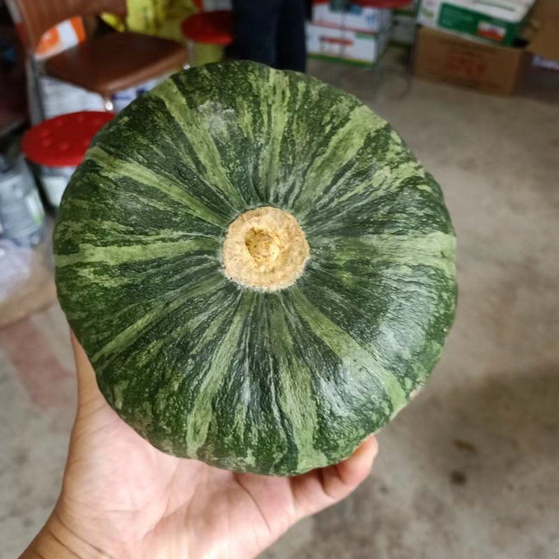 爱碧斯南瓜基地直供