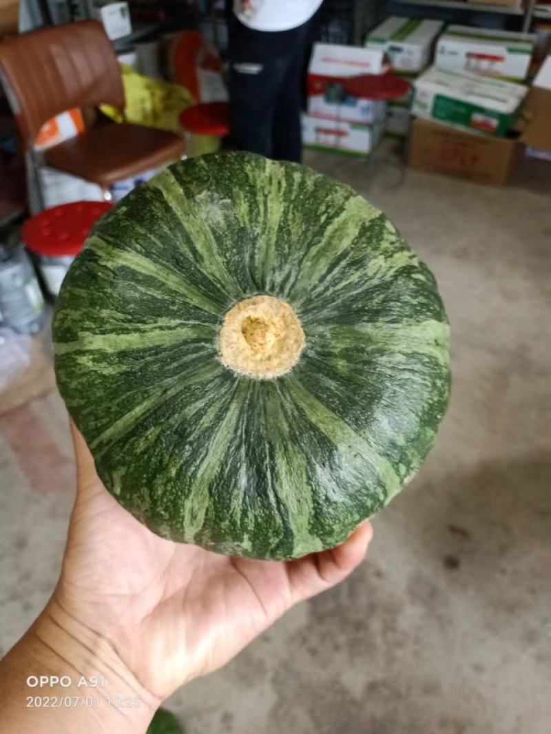爱碧斯南瓜基地直供