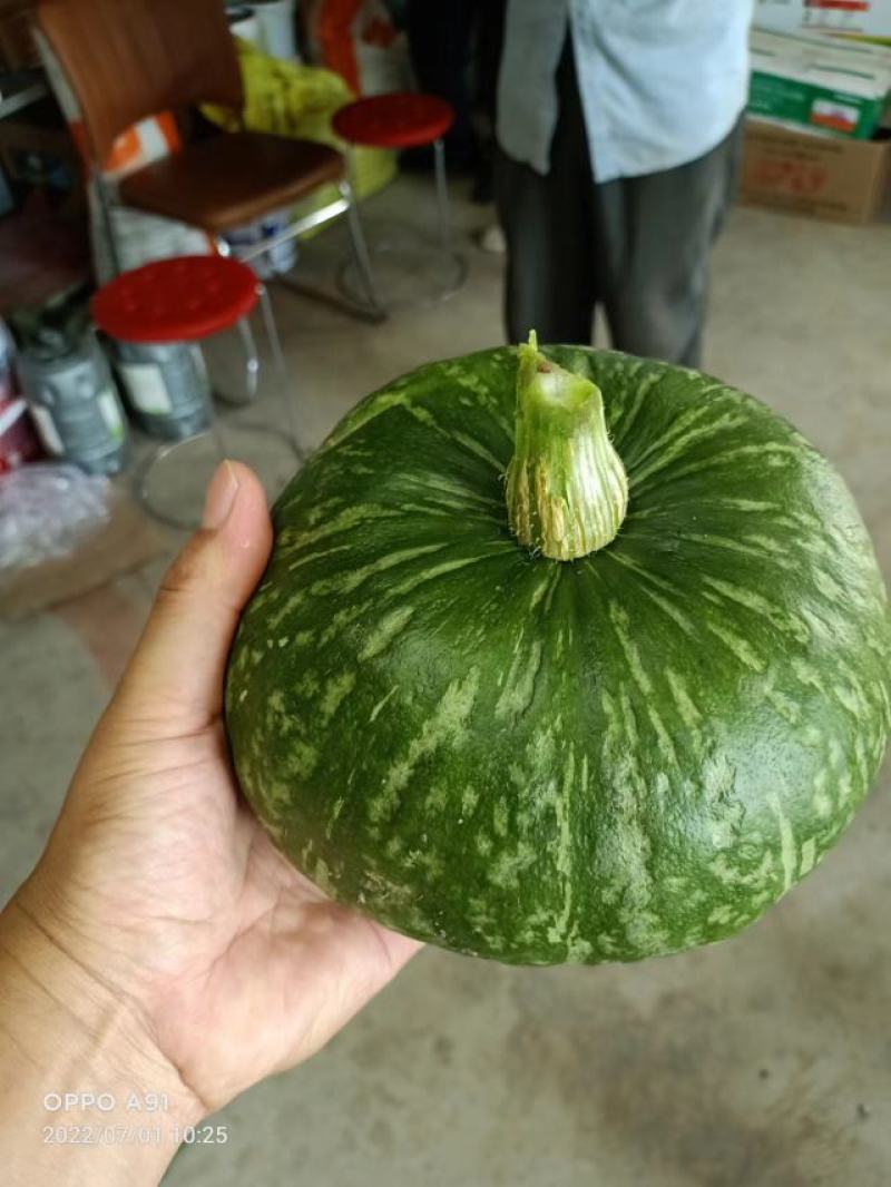 爱碧斯南瓜基地直供