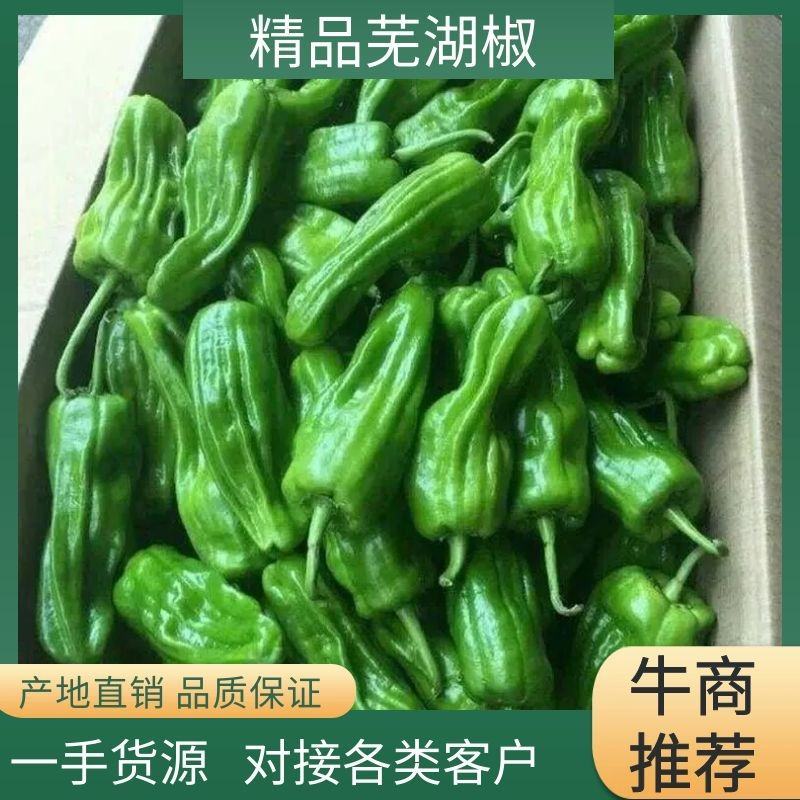 辣椒尖椒红泡椒红辣椒大红袍红线椒红椒欢迎订购