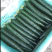 精品黄瓜，刚起来新瓜