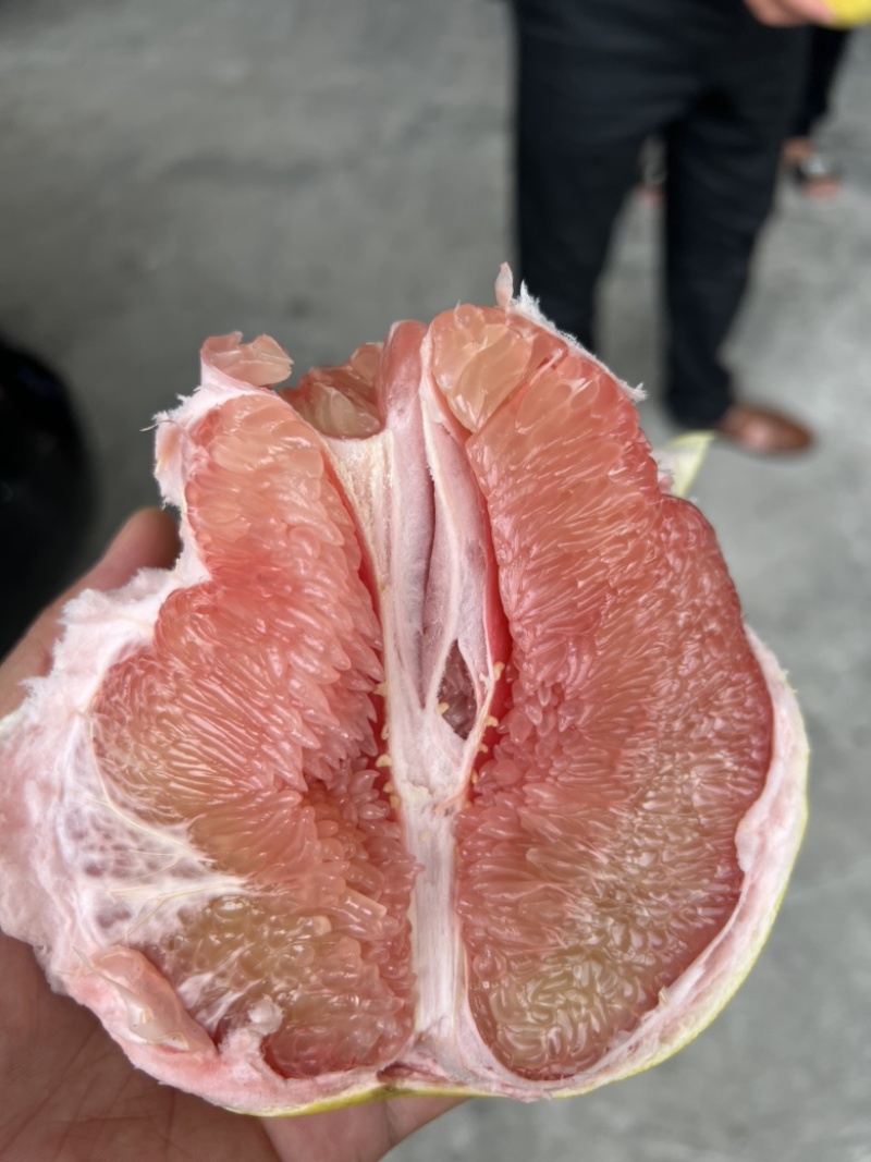 红肉蜜柚红心柚平和蜜柚产地直销大量上市代发全国