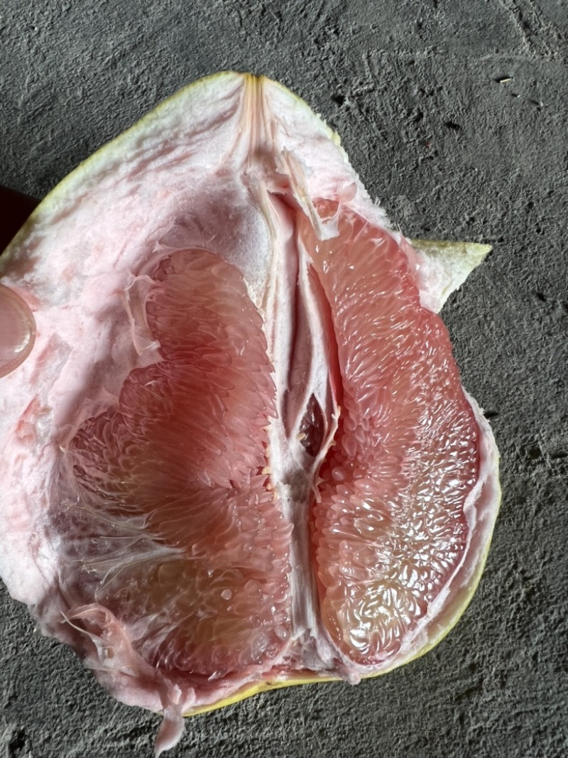 红肉蜜柚红心柚平和蜜柚产地直销大量上市代发全国