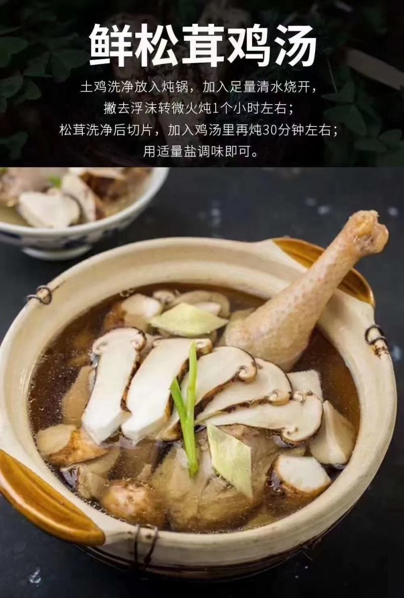 香格里拉松茸等老板来收购