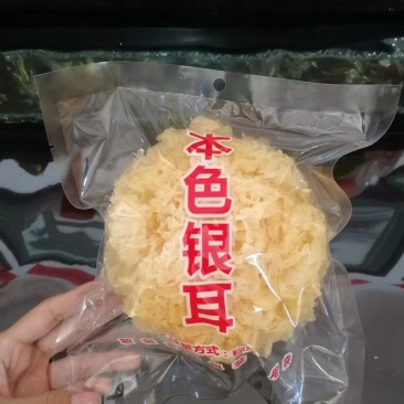 古田银耳产地单朵独立小包装定制出货