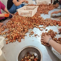 龙虾尾