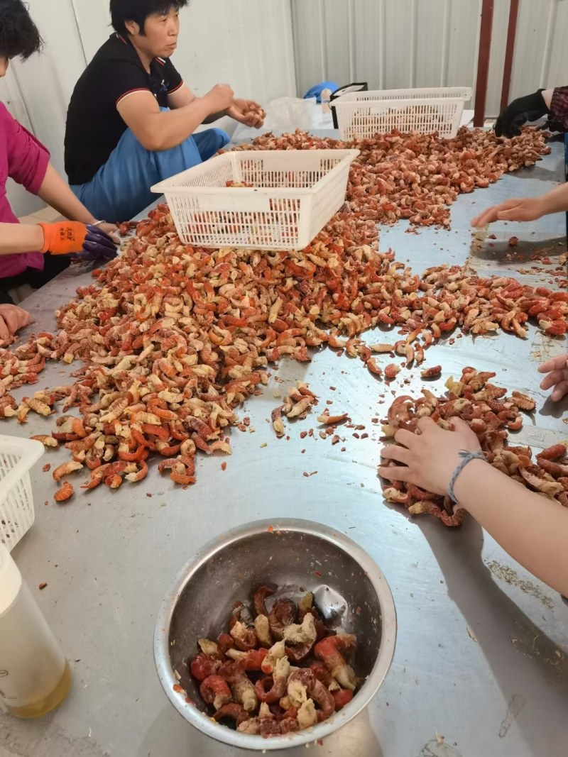 龙虾尾