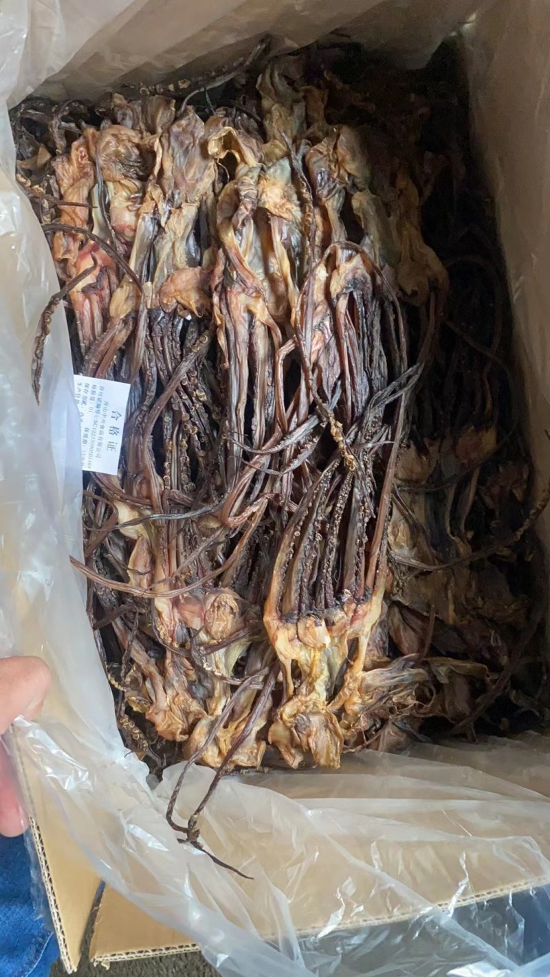 鱿鱼头淡干水发！纯淡干！成称率高一斤可发5斤左右品质好！